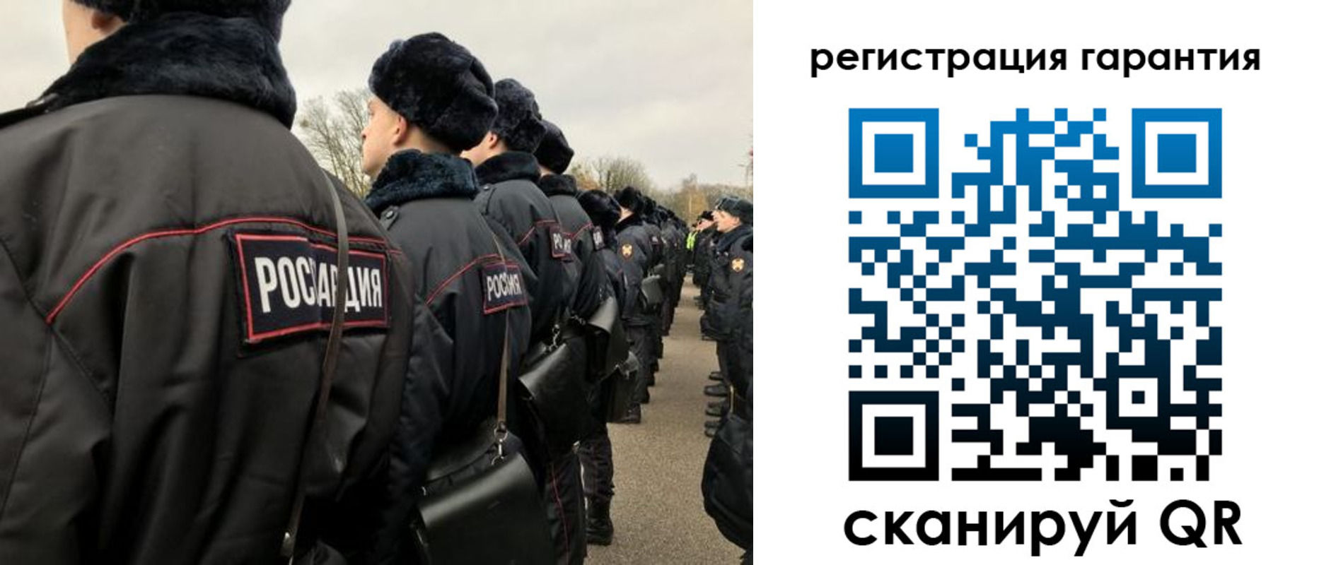 прописка поиск в Елизово